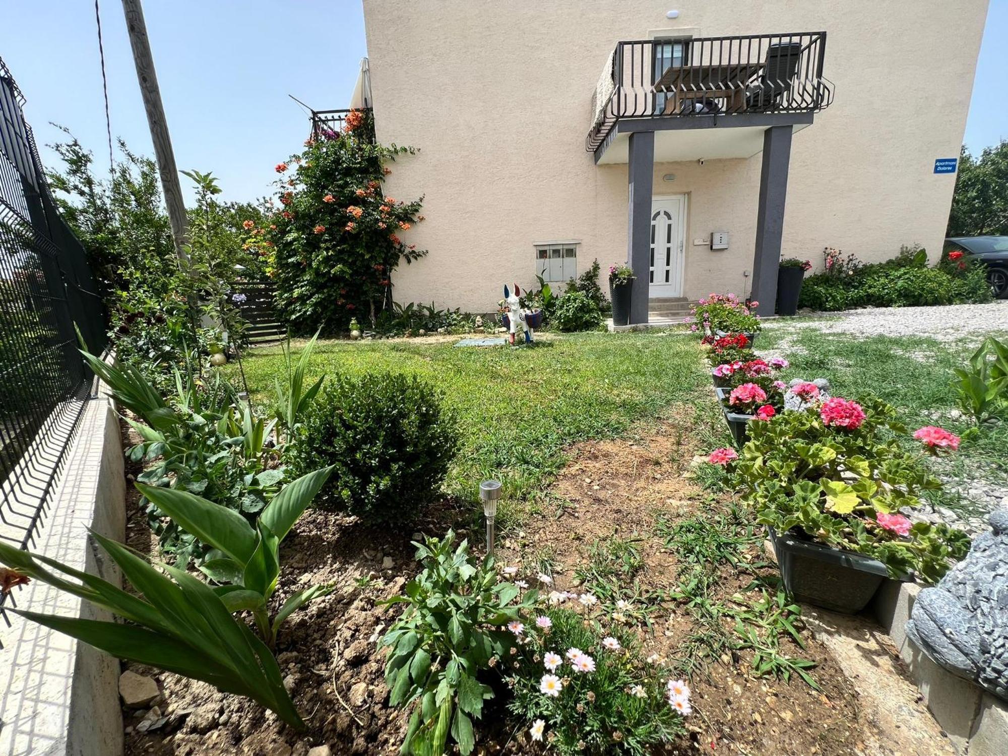 Dolores Apartament *